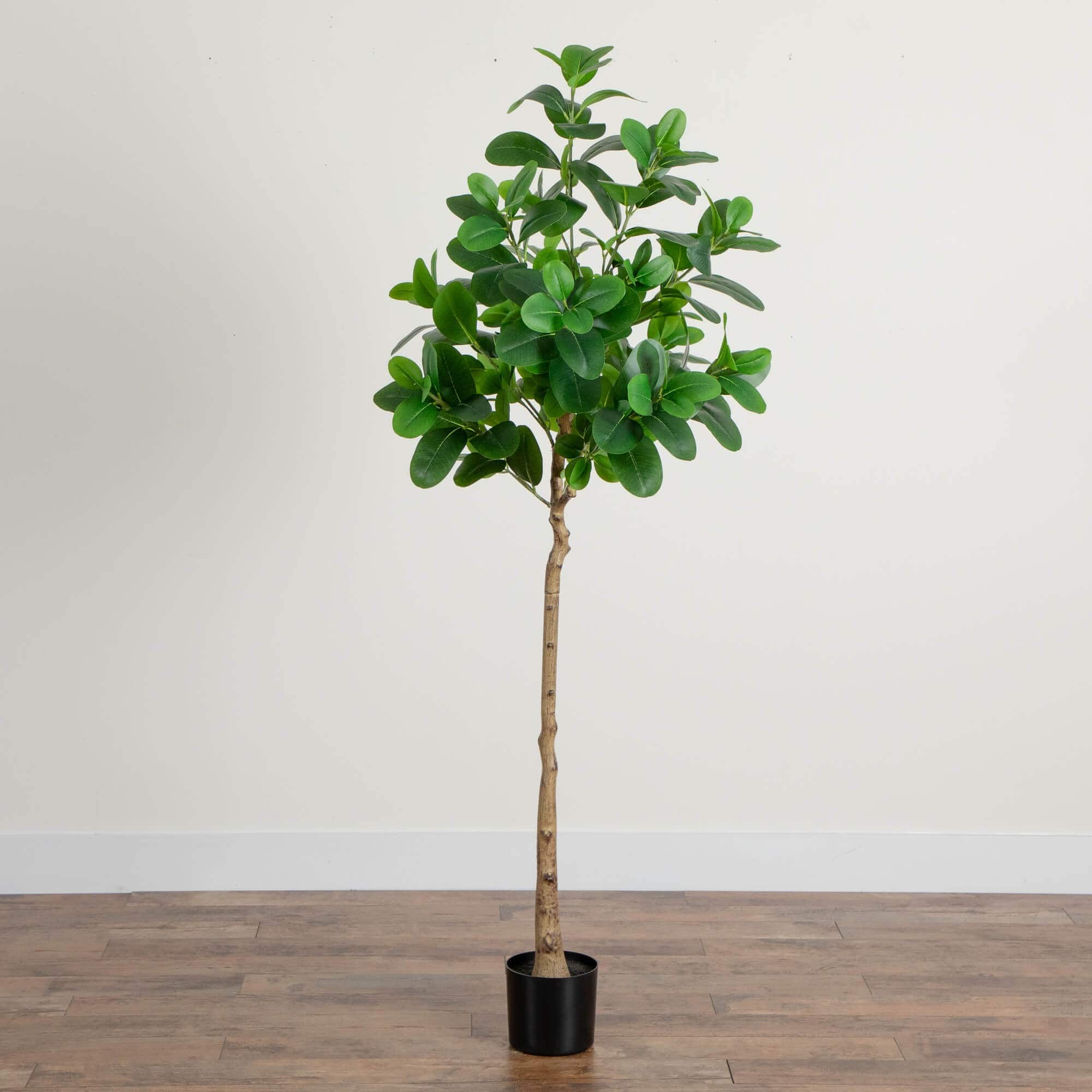 6ft. Artificial Audrey Ficus Tree